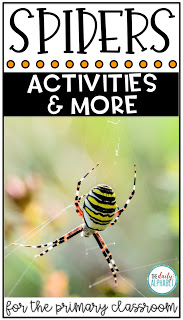 Spider craft and activities for the primary classroom that are easy to prep and implement!