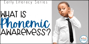 Phonemic Awareness