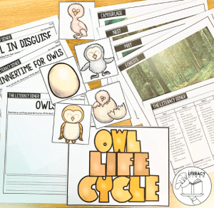 Create engaged learners with this November themed read aloud book companion. This read aloud bundle comes with 4 weeks of plans to help discuss turkeys, owls, perseverance and Thanksgiving.