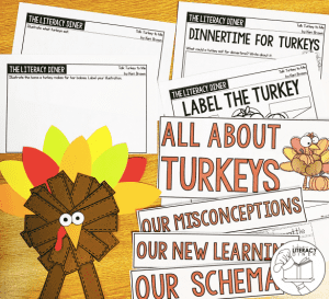 Create engaged learners with this November themed read aloud book companion. This read aloud bundle comes with 4 weeks of plans to help discuss turkeys, owls, perseverance and Thanksgiving.