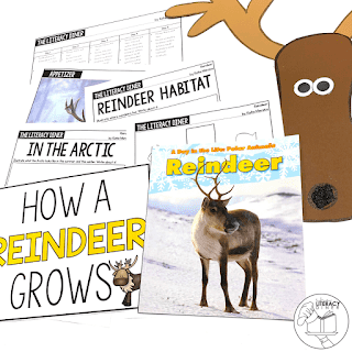 Create engaged learners with this December themed read aloud book companion.