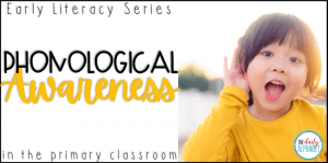 What is Phonological Awareness?