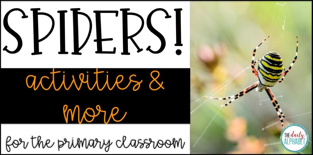 Spider craft and activities for the primary classroom that are easy to prep and implement!